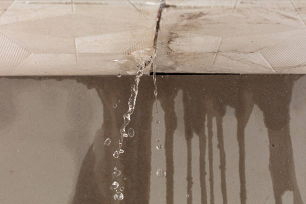 Professional Water Damage Repair technician working in Prairie Hill, TX